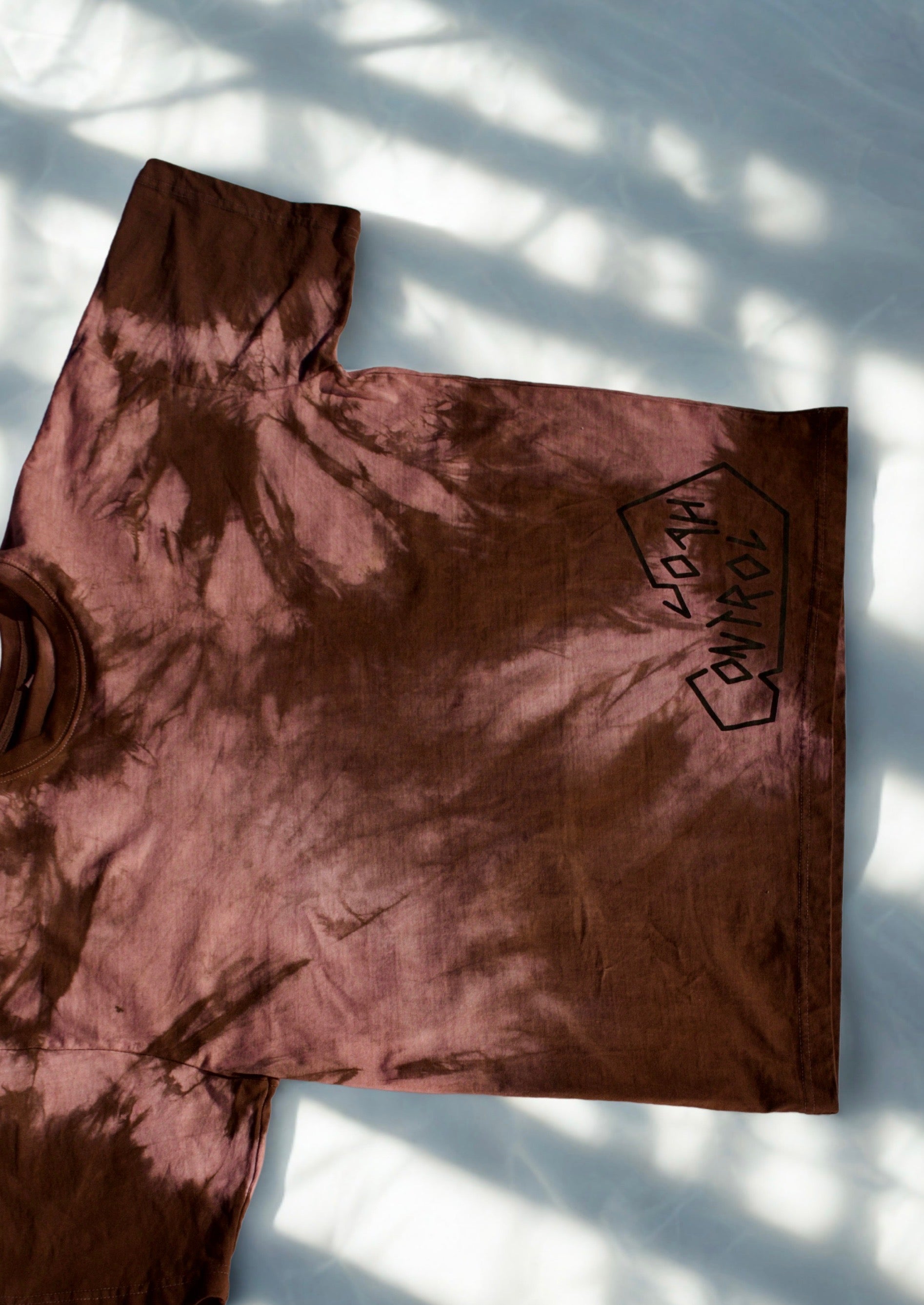 IN CONTROL- Premium Heavyweight Tee